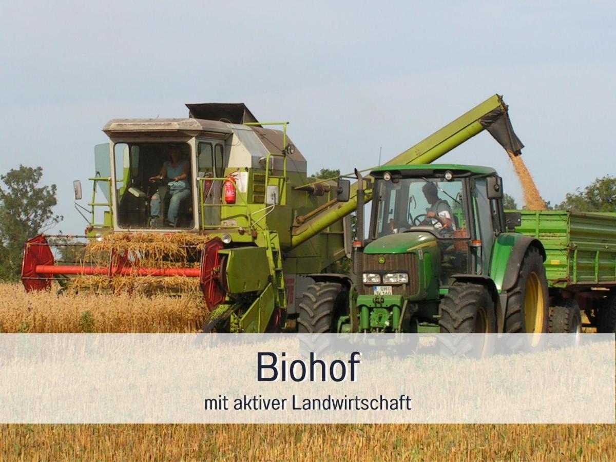 Bio Ferienhof Wichtelweide - Ferienhaus Lichtblick Fehmarn Exterior foto
